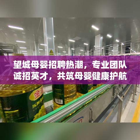望城母婴招聘热潮，专业团队诚招英才，共筑母婴健康护航梦