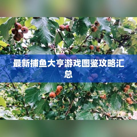最新捕鱼大亨游戏图鉴攻略汇总