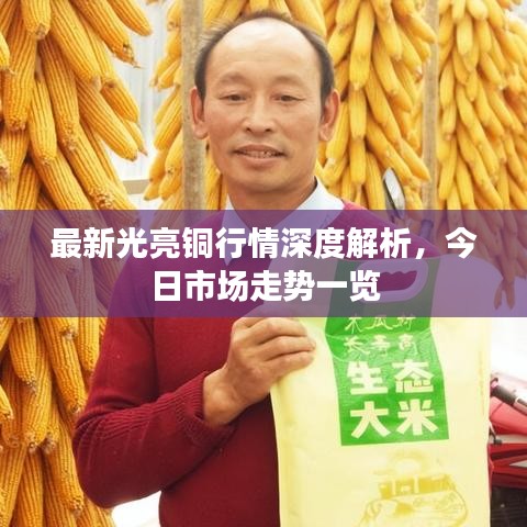 最新光亮铜行情深度解析，今日市场走势一览
