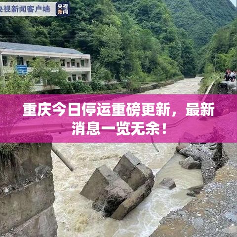 重庆今日停运重磅更新，最新消息一览无余！