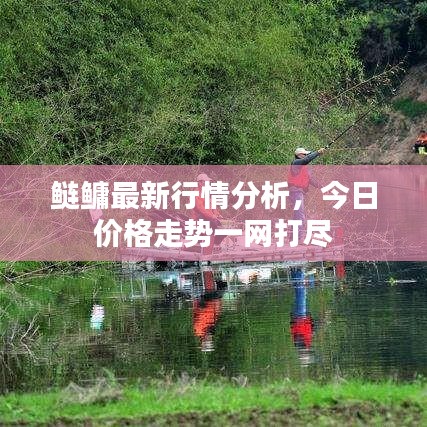 鲢鳙最新行情分析，今日价格走势一网打尽