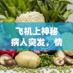 飞机上神秘病人突发，情况紧急！