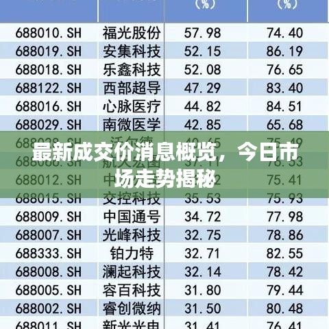 生张熟魏 第3页