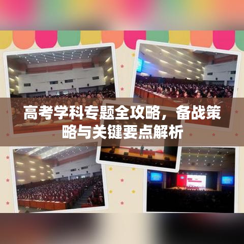 高考学科专题全攻略，备战策略与关键要点解析