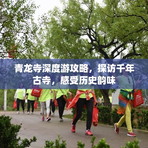 青龙寺深度游攻略，探访千年古寺，感受历史韵味