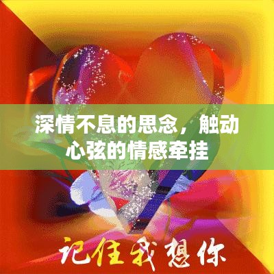 深情不息的思念，触动心弦的情感牵挂