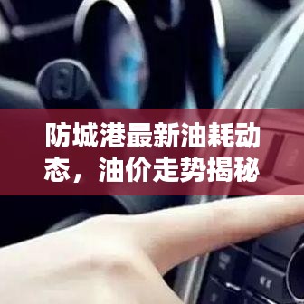 防城港最新油耗动态，油价走势揭秘及影响因素分析