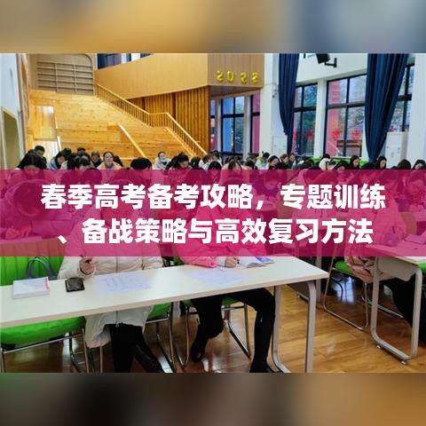 春季高考备考攻略，专题训练、备战策略与高效复习方法