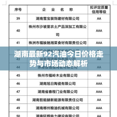 湖南最新92汽油今日价格走势与市场动态解析