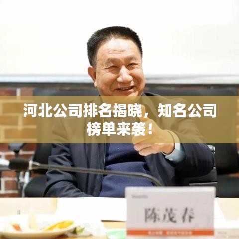 河北公司排名揭晓，知名公司榜单来袭！