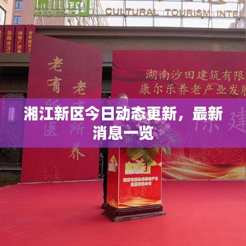 湘江新区今日动态更新，最新消息一览