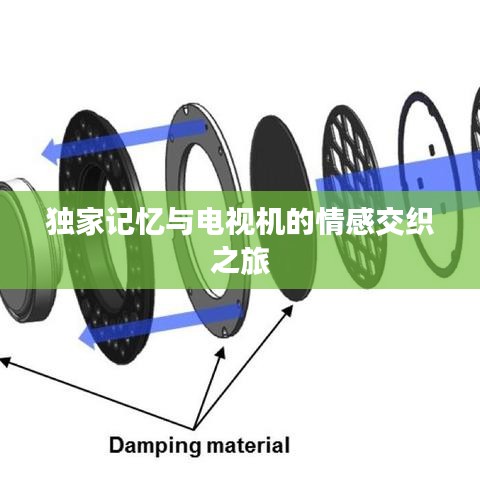 独家记忆与电视机的情感交织之旅