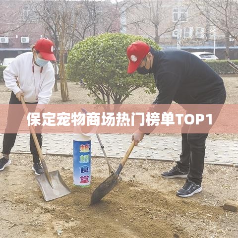 保定宠物商场热门榜单TOP10