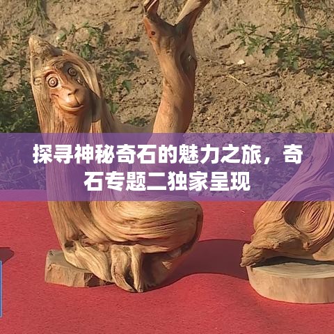 探寻神秘奇石的魅力之旅，奇石专题二独家呈现