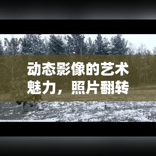 动态影像的艺术魅力，照片翻转间的视觉盛宴