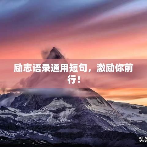 炊粱跨卫 第3页