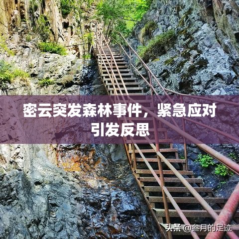密云突发森林事件，紧急应对引发反思