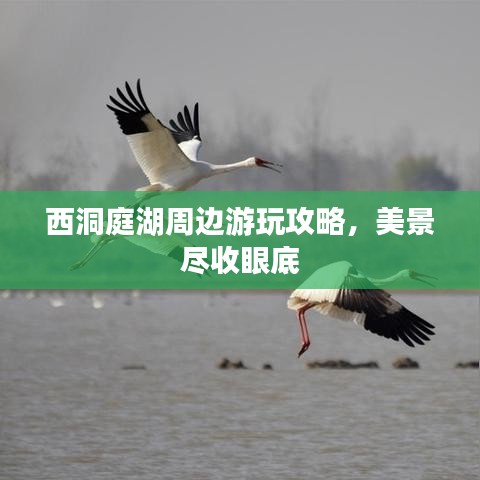 神采奕奕 第3页