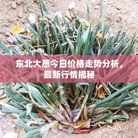 随时随地 第2页