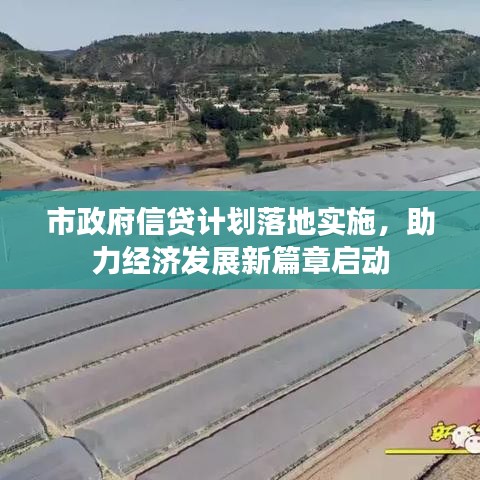 市政府信贷计划落地实施，助力经济发展新篇章启动