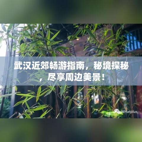 武汉近郊畅游指南，秘境探秘，尽享周边美景！