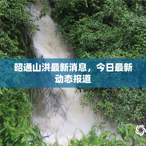 昭通山洪最新消息，今日最新动态报道
