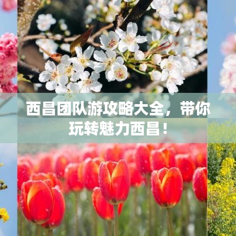 西昌团队游攻略大全，带你玩转魅力西昌！