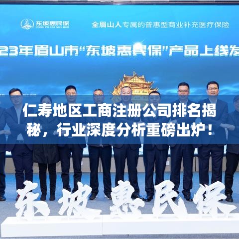 仁寿地区工商注册公司排名揭秘，行业深度分析重磅出炉！