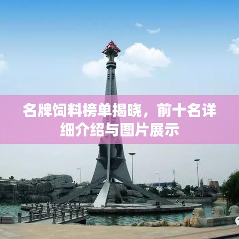 名牌饲料榜单揭晓，前十名详细介绍与图片展示