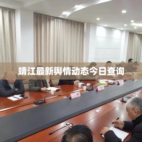 靖江最新舆情动态今日查询