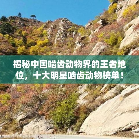揭秘中国啮齿动物界的王者地位，十大明星啮齿动物榜单！
