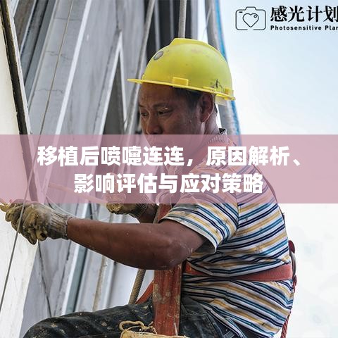 移植后喷嚏连连，原因解析、影响评估与应对策略