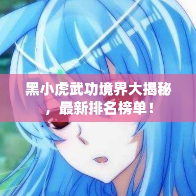 黑小虎武功境界大揭秘，最新排名榜单！