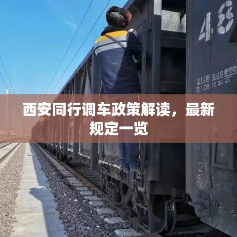 金石为开 第2页