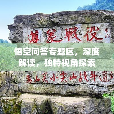 笨鸟先飞 第2页