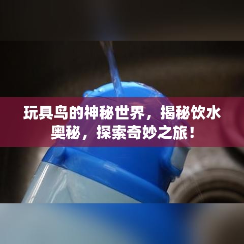 玩具鸟的神秘世界，揭秘饮水奥秘，探索奇妙之旅！