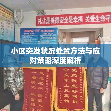 小区突发状况处置方法与应对策略深度解析