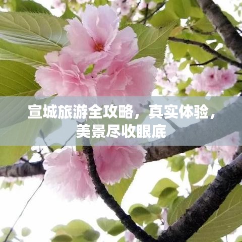 宣城旅游全攻略，真实体验，美景尽收眼底