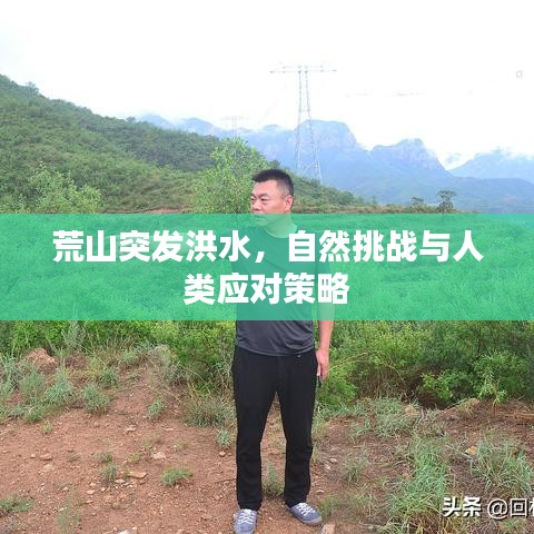 荒山突发洪水，自然挑战与人类应对策略