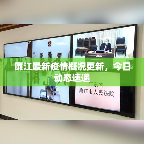 廉江最新疫情概况更新，今日动态速递