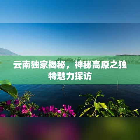 云南独家揭秘，神秘高原之独特魅力探访