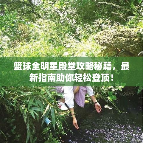 篮球全明星殿堂攻略秘籍，最新指南助你轻松登顶！