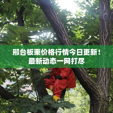 明夷于飞 第2页