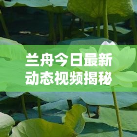 就棍打腿 第2页