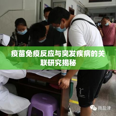 眉清目秀 第2页