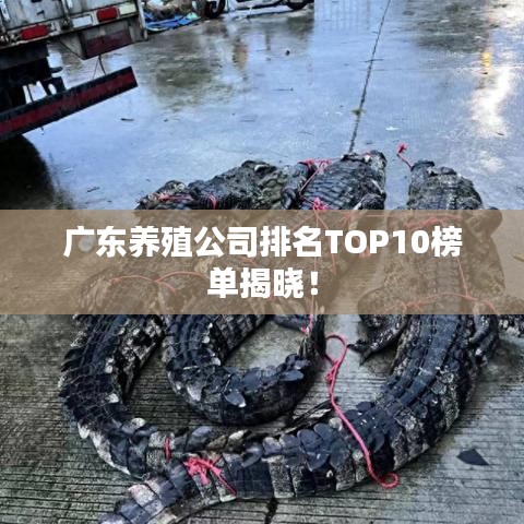 小有成就 第2页