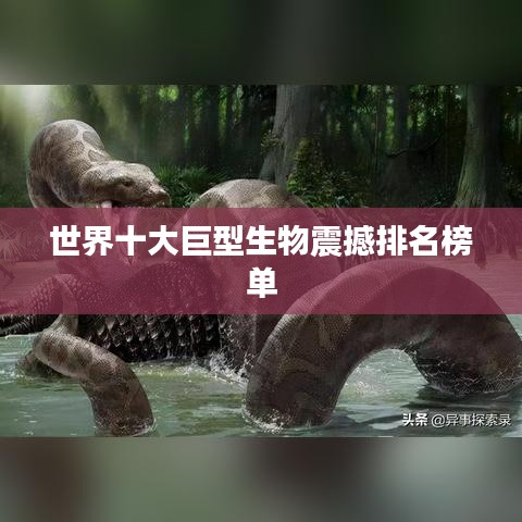世界十大巨型生物震撼排名榜单