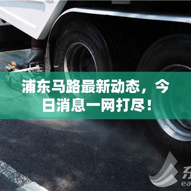 浦东马路最新动态，今日消息一网打尽！