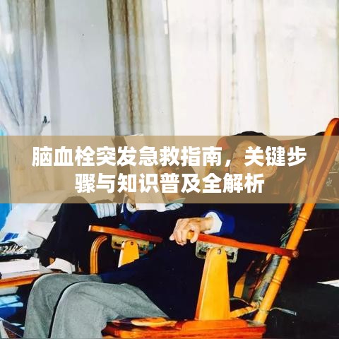 脑血栓突发急救指南，关键步骤与知识普及全解析