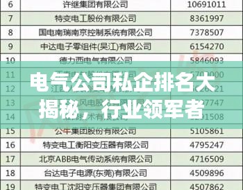 电气公司私企排名大揭秘，行业领军者的成功秘诀！